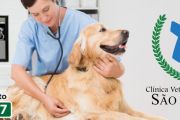 Clínica Vet. São Caetano