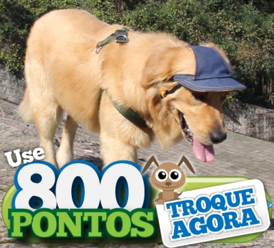 Boné Canino